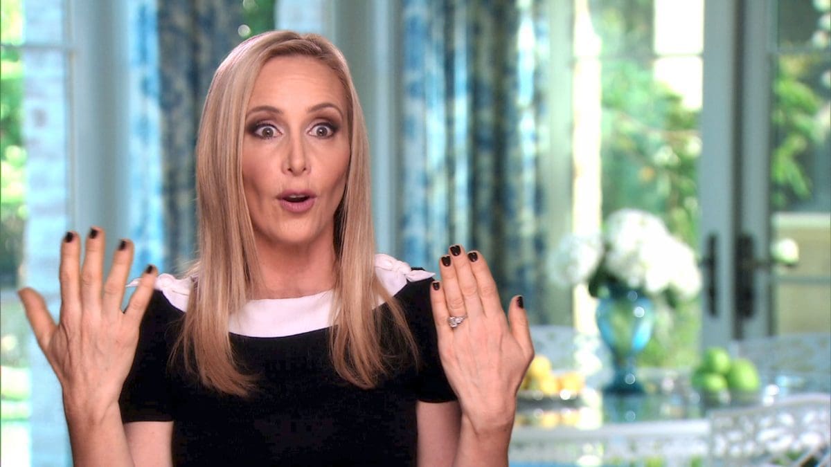 RHOC star Shannon Beador Arrested For DUI And Hit-And-Run