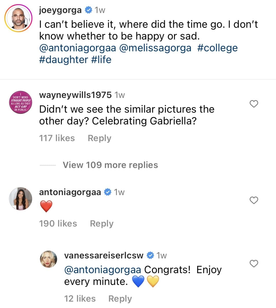 Vanessa Reiser engaging with RHONJ's Joe Gorga and Antonia Gorga on Instagram