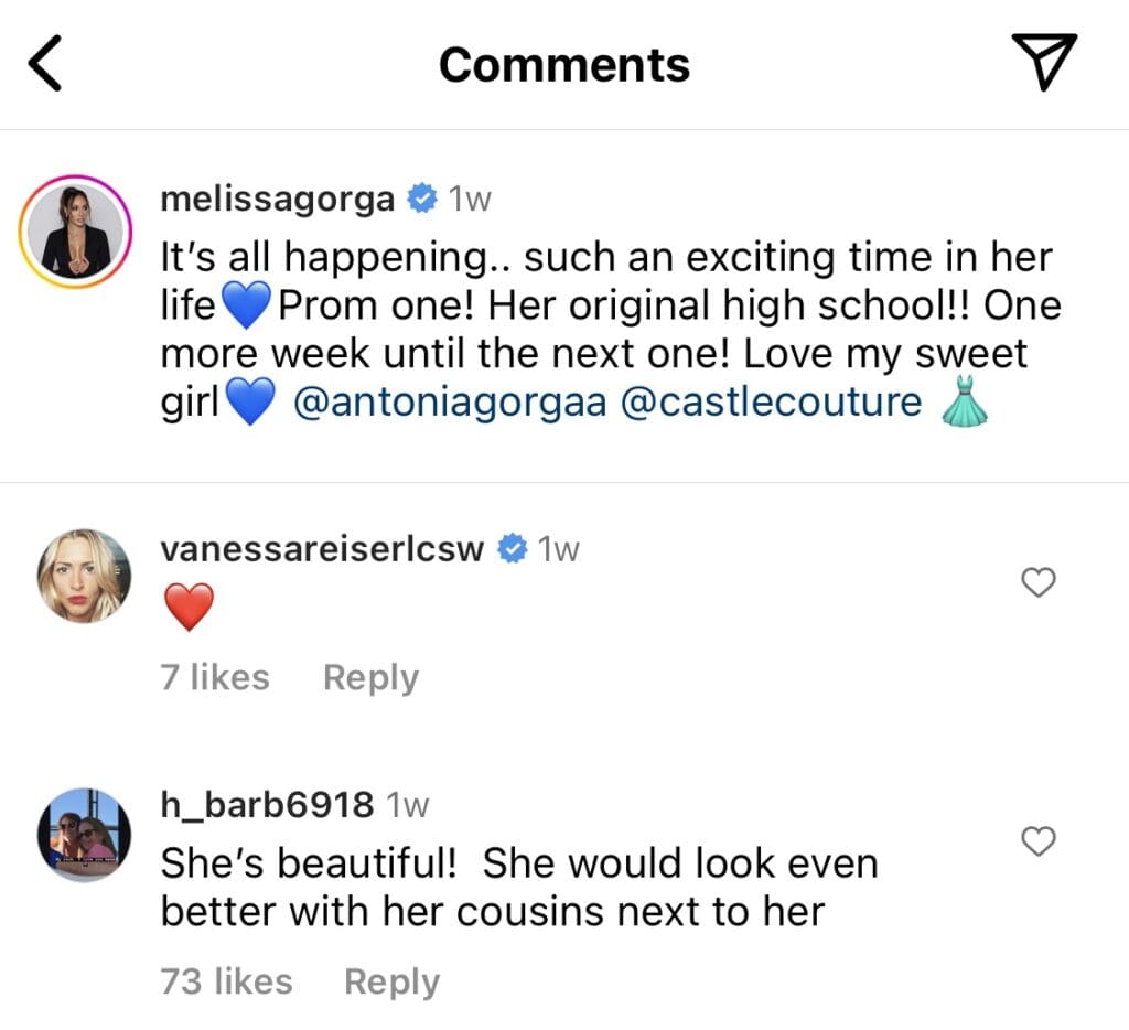 Vanessa Reiser engaging with RHONJ's Melissa Gorga on Instagram