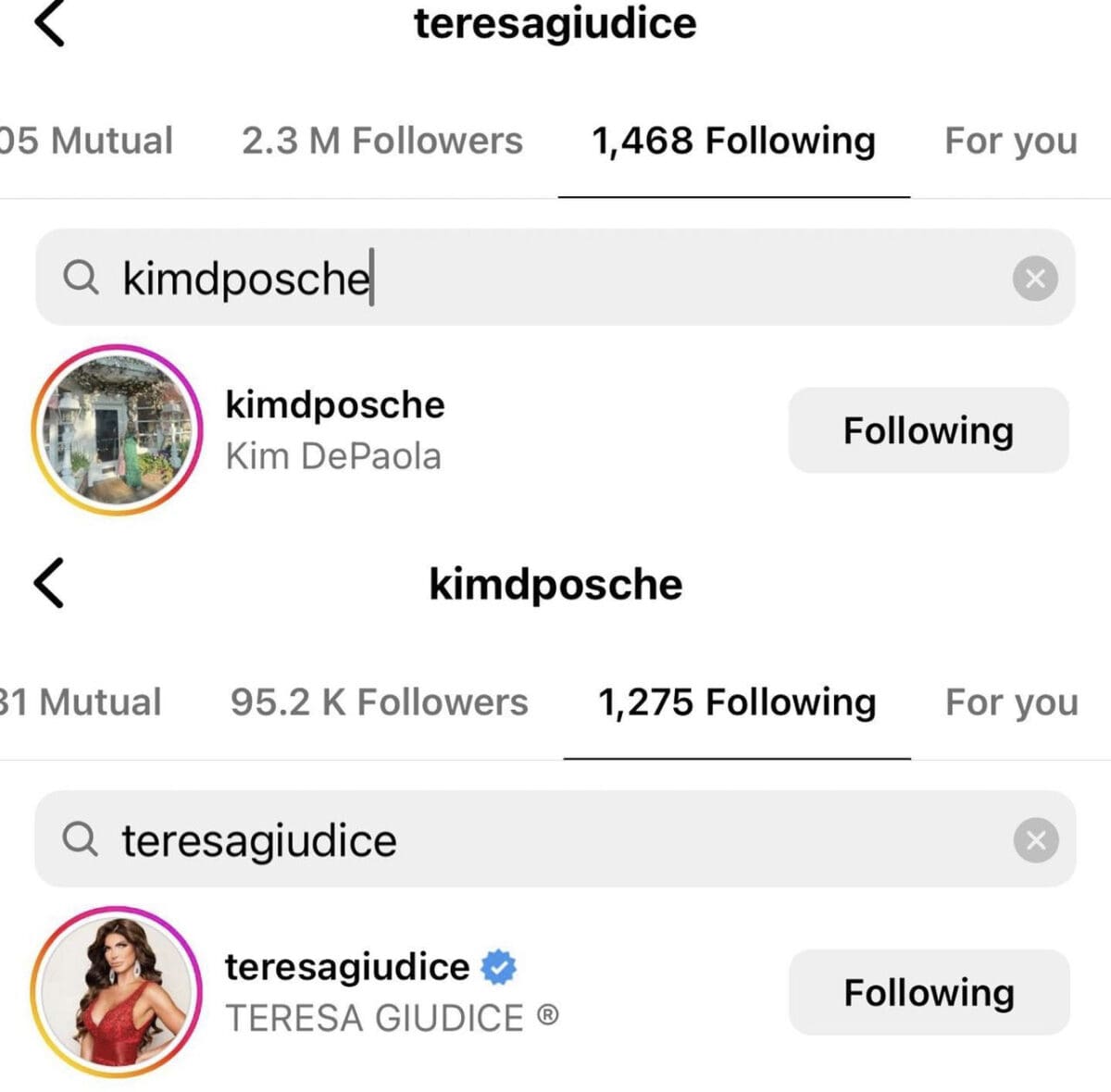 RHONJ's Teresa Giudice and Kim D refollow each other on Instagram