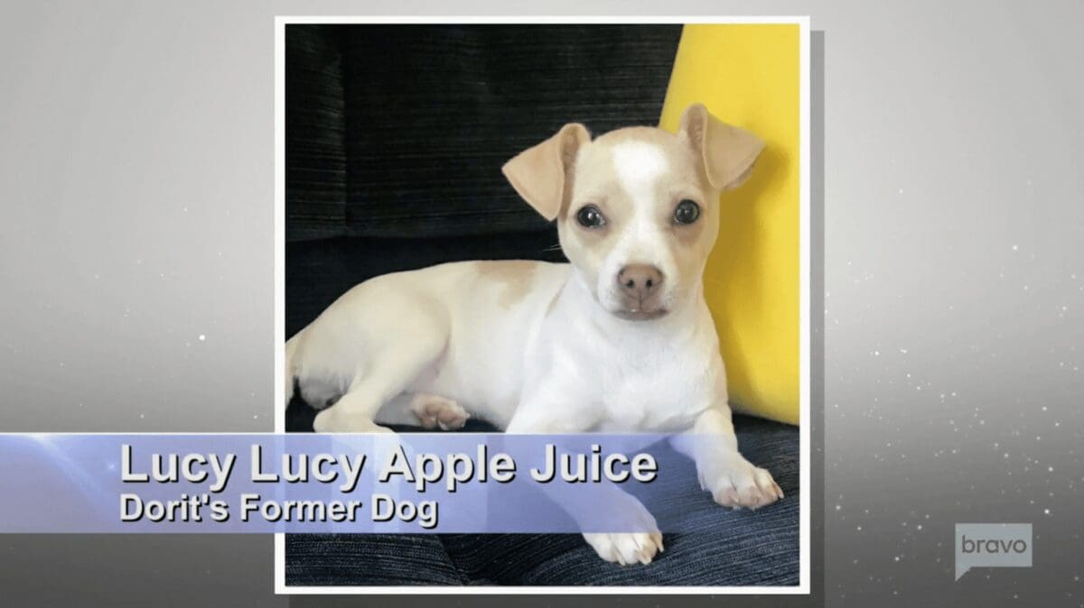 RHOBH PuppyGate Scandal: Lucy Lucy Apple Juice