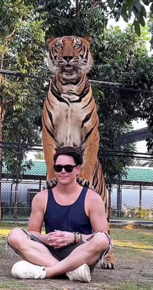 Tom Sandoval meditates while captive tiger leans on his shoulders.